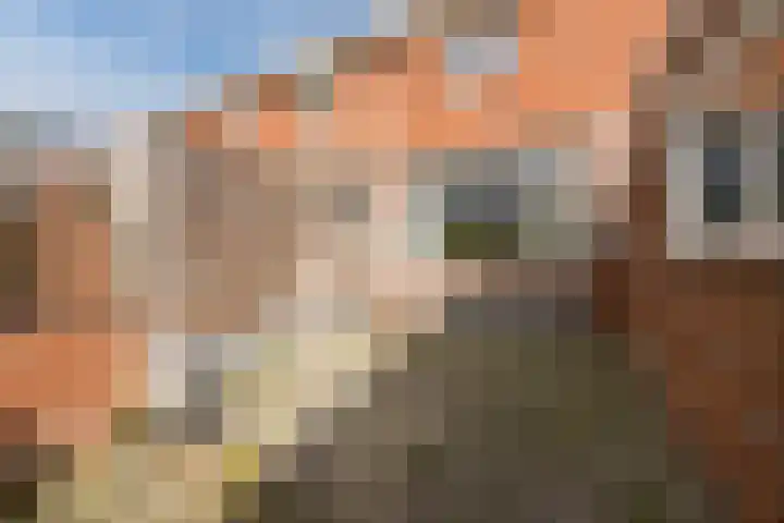 Beatrixstraat 37 Terneuzen thumbnail 23