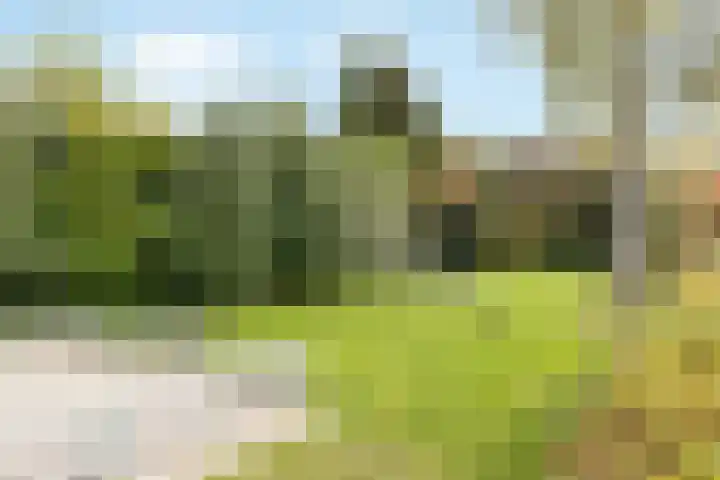 Beatrixstraat 39 Nijkerk thumbnail 35