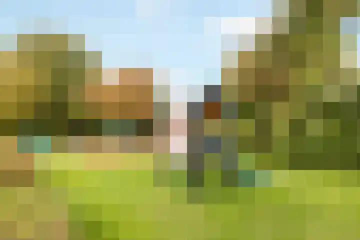Beatrixstraat 39 Nijkerk thumbnail 36