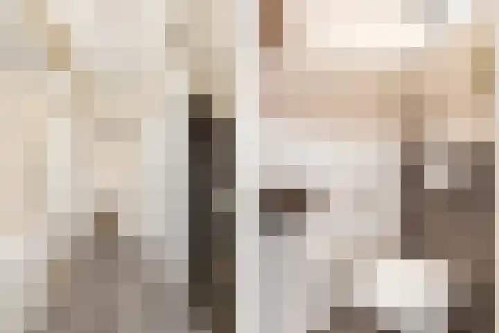 Beatrixstraat 39 Nijkerk thumbnail 4