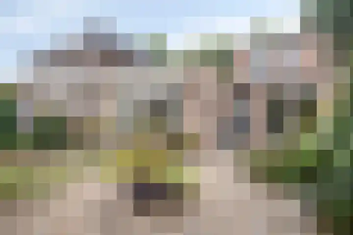 Beatrixstraat 4 Berghem thumbnail 32