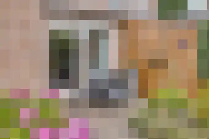 Beatrixstraat 4 Berghem thumbnail 34