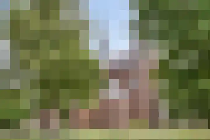 Beatrixstraat 4 Berghem thumbnail 40
