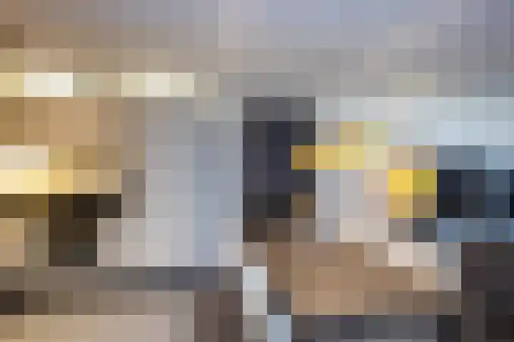 Beatrixstraat 4 c Neede thumbnail 7