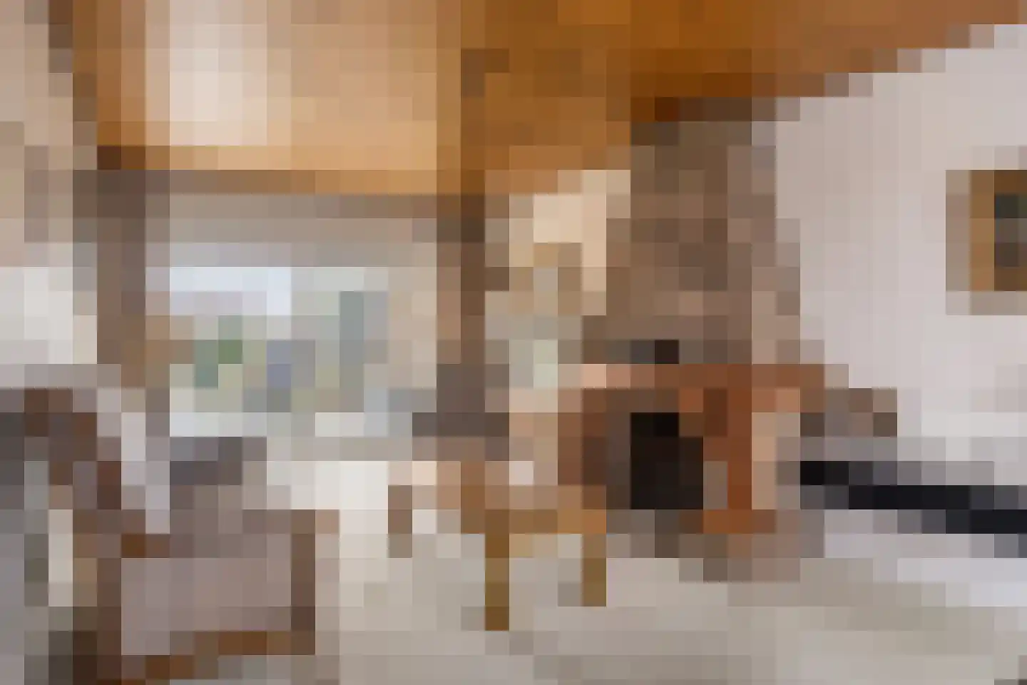 Beatrixstraat 4 Cadier en Keer thumbnail 6