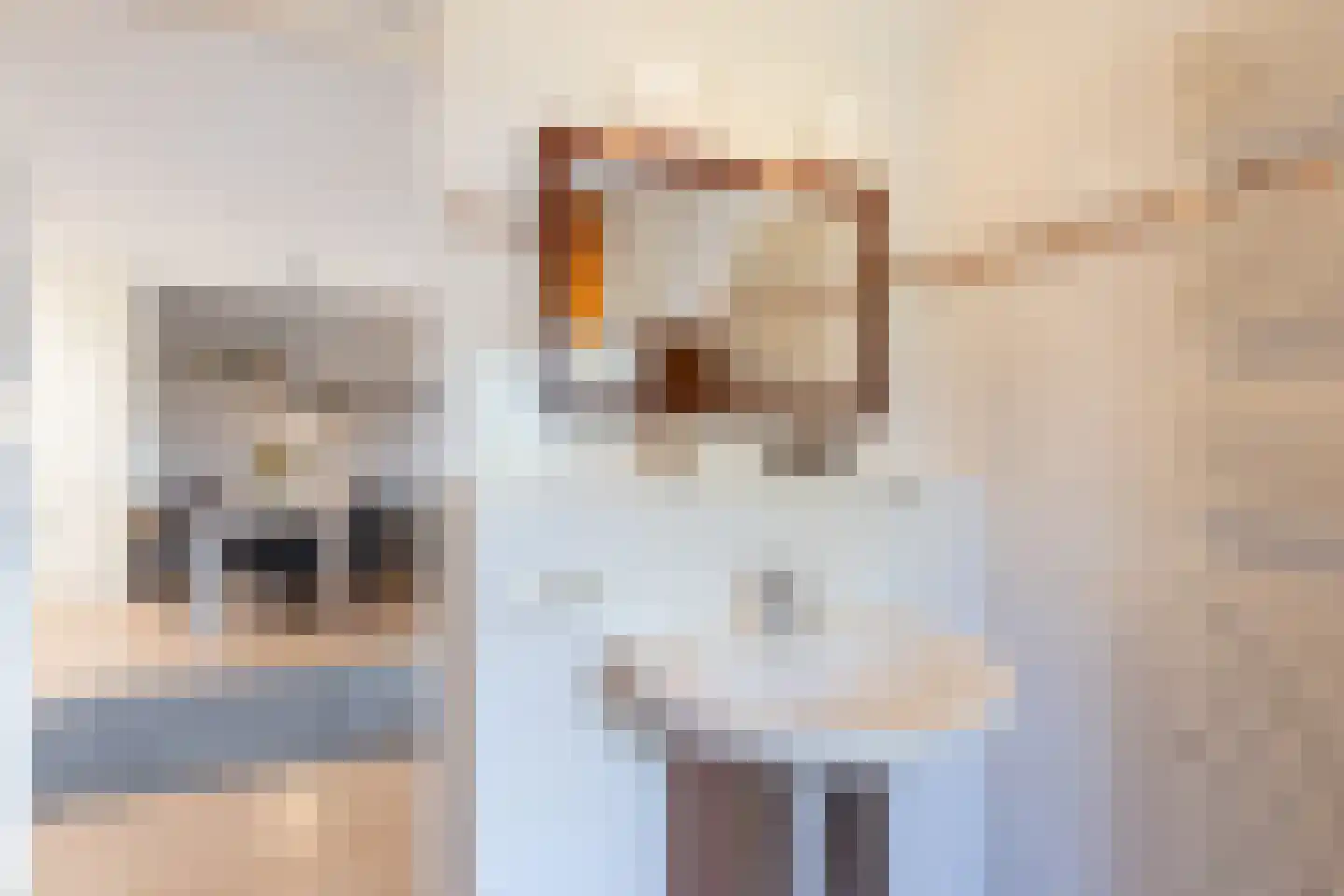 Beatrixstraat 4 g Neede thumbnail 16