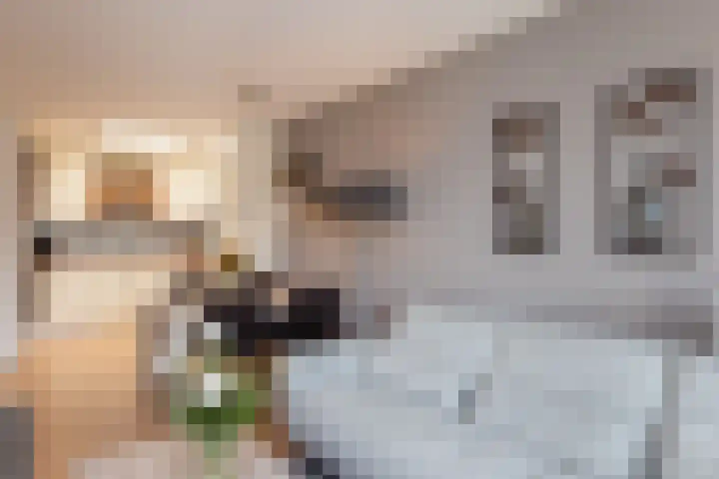 Beatrixstraat 4 g Neede thumbnail 4