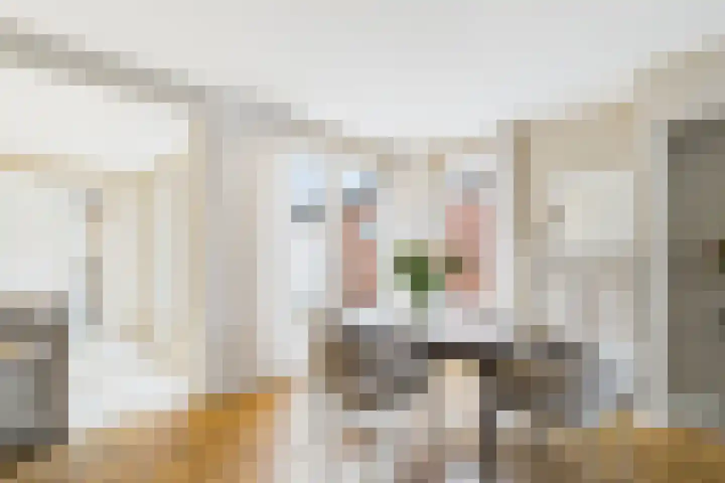 Beatrixstraat 4 Kloosterzande thumbnail 10