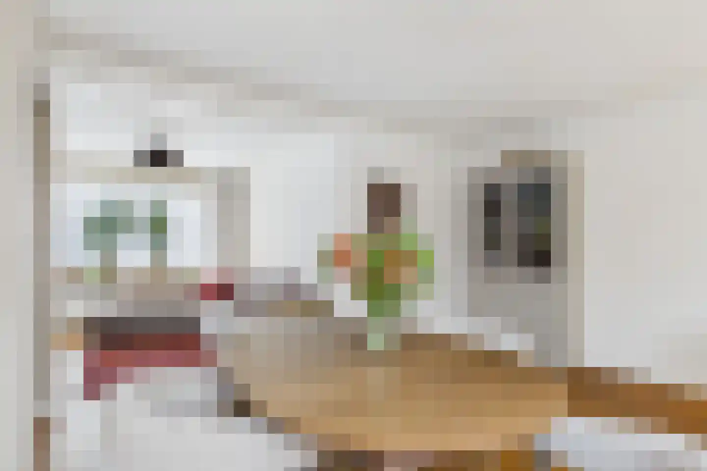 Beatrixstraat 4 Kloosterzande thumbnail 12