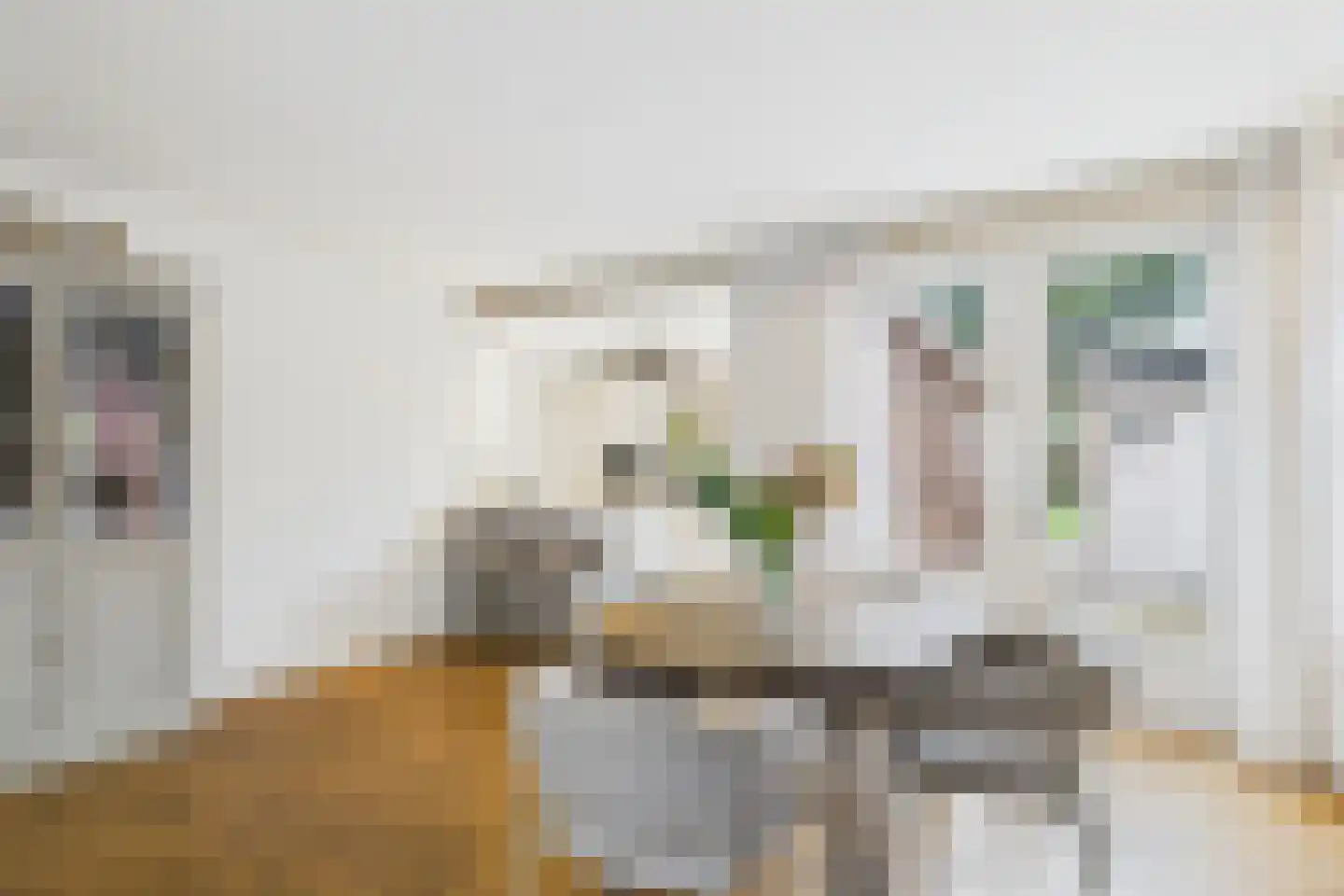 Beatrixstraat 4 Kloosterzande thumbnail 16