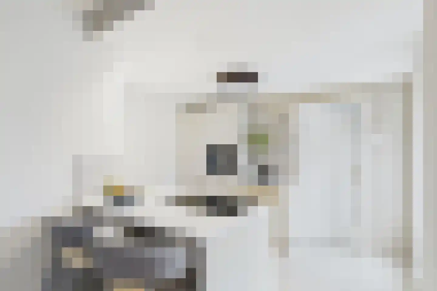 Beatrixstraat 4 Kloosterzande thumbnail 17