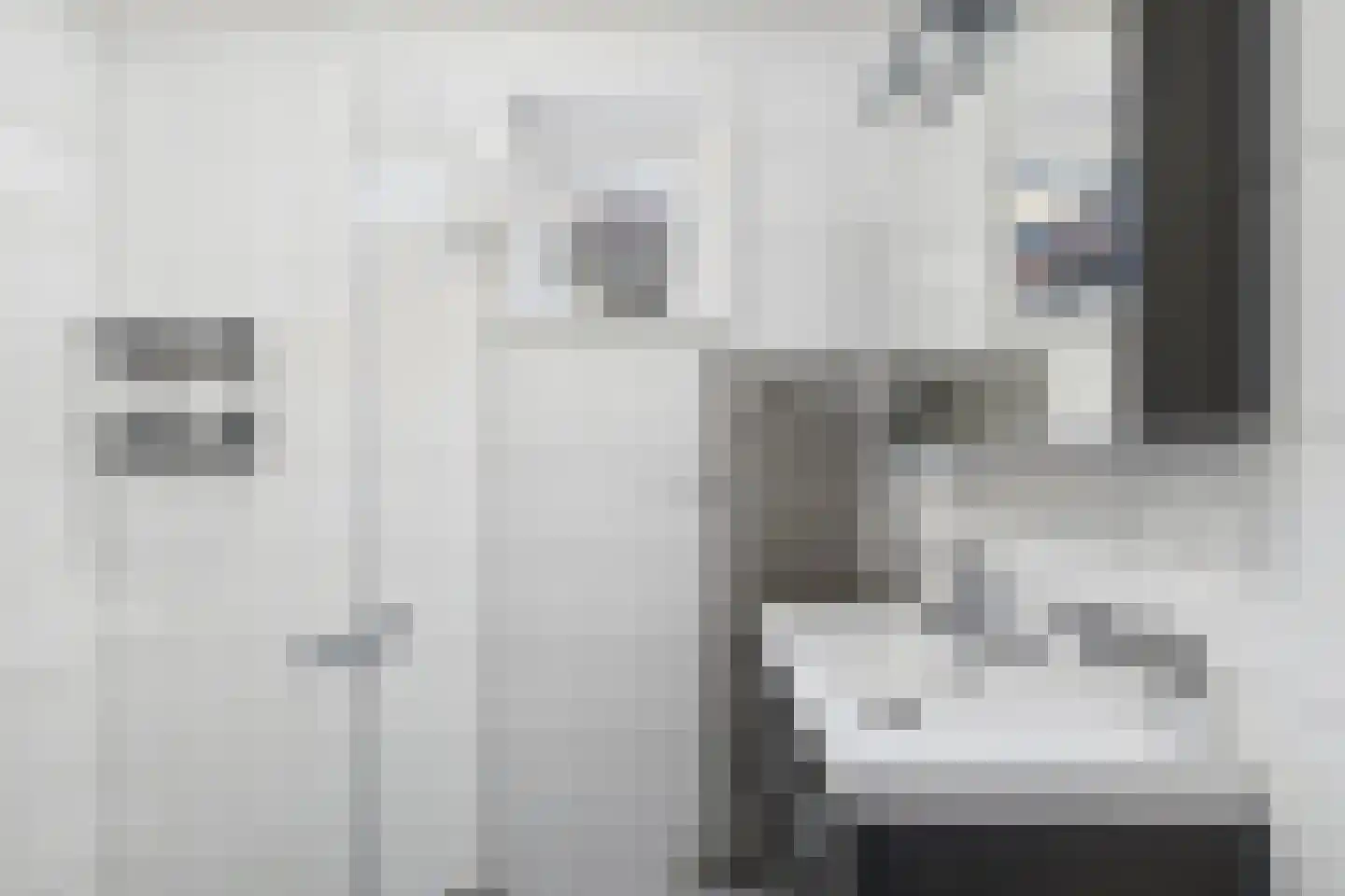 Beatrixstraat 4 Kloosterzande thumbnail 23