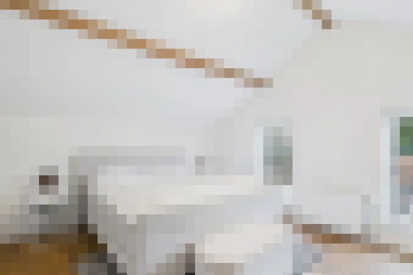 Beatrixstraat 4 Kloosterzande thumbnail 33