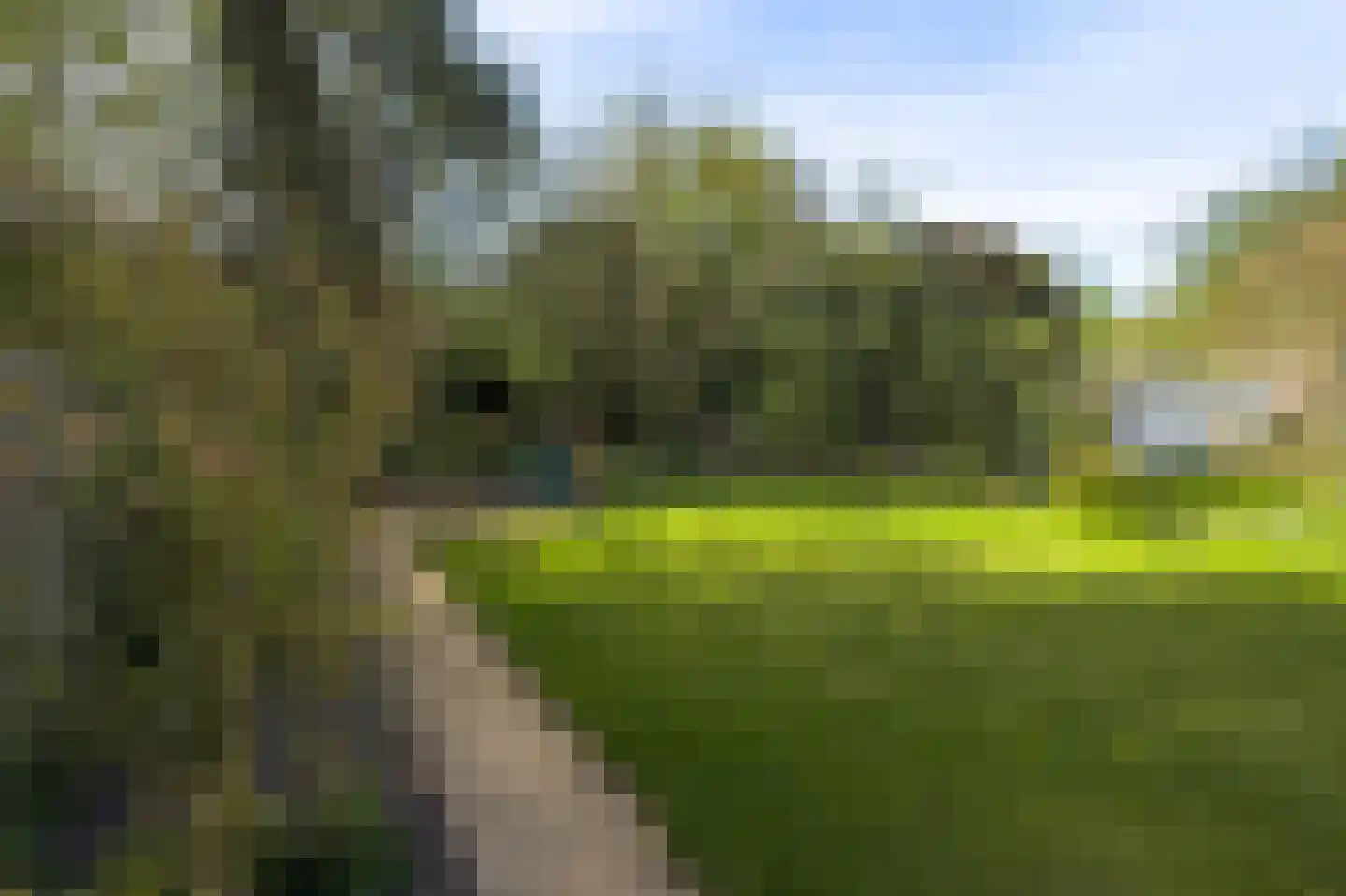 Beatrixstraat 4 Kloosterzande thumbnail 40
