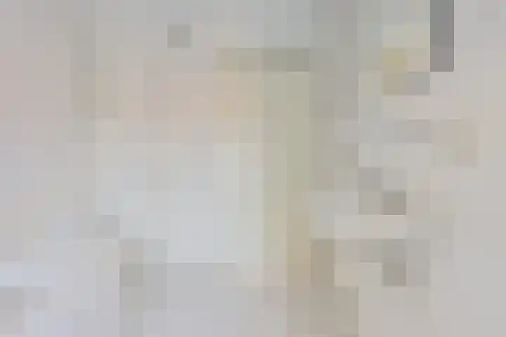 Beatrixstraat 4 Sneek thumbnail 25