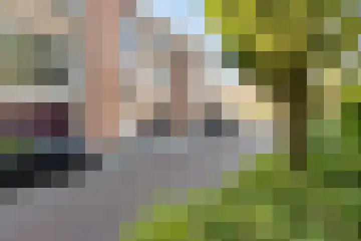 Beatrixstraat 4 Sneek thumbnail 35