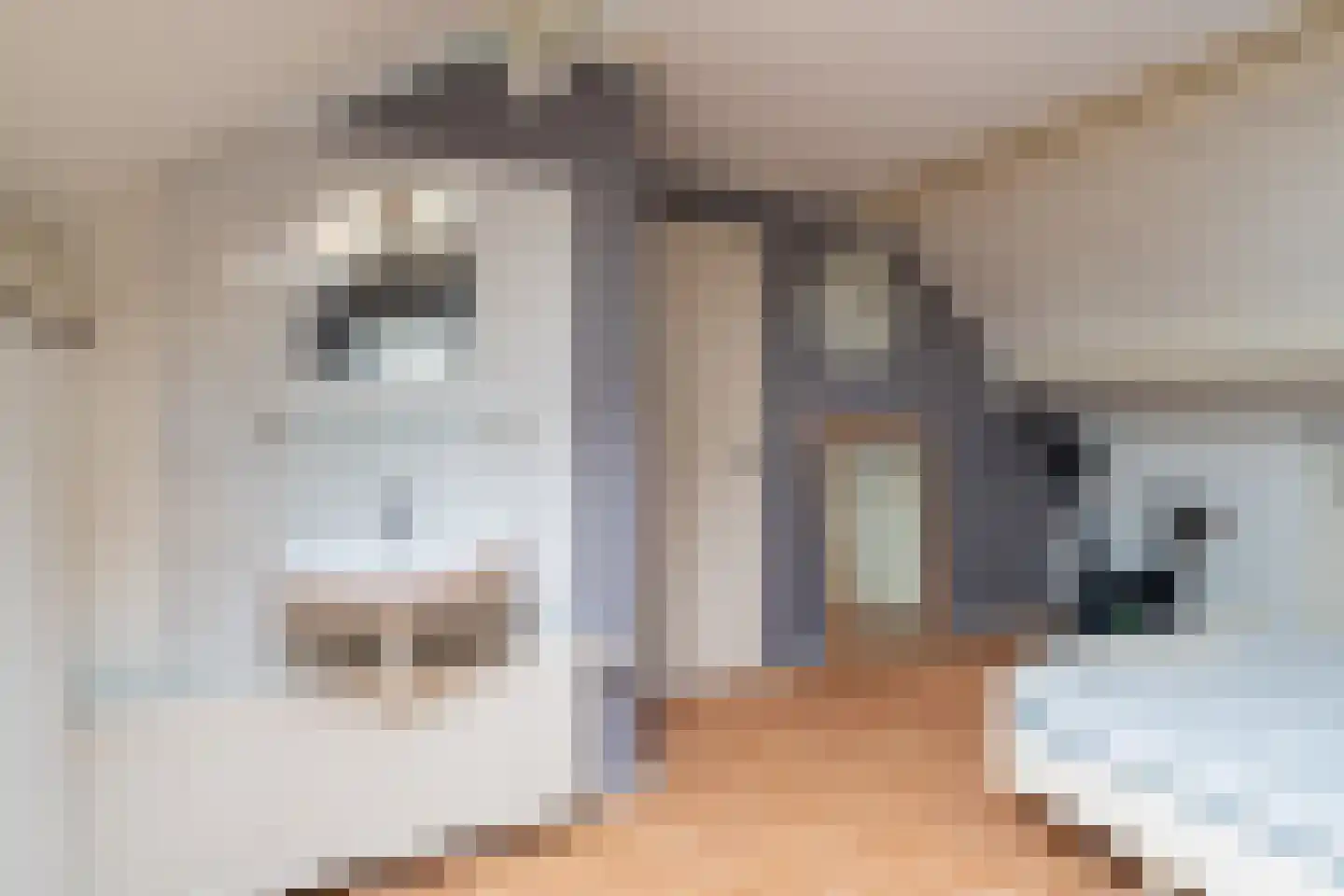 Beatrixstraat 4 Sprang-Capelle thumbnail 25