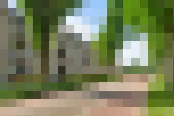 Beatrixstraat 40 Nederweert thumbnail 22