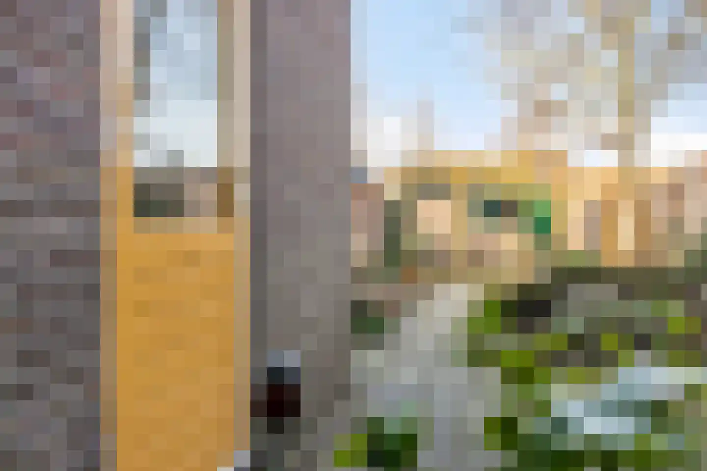 Beatrixstraat 41 Veenendaal thumbnail 39