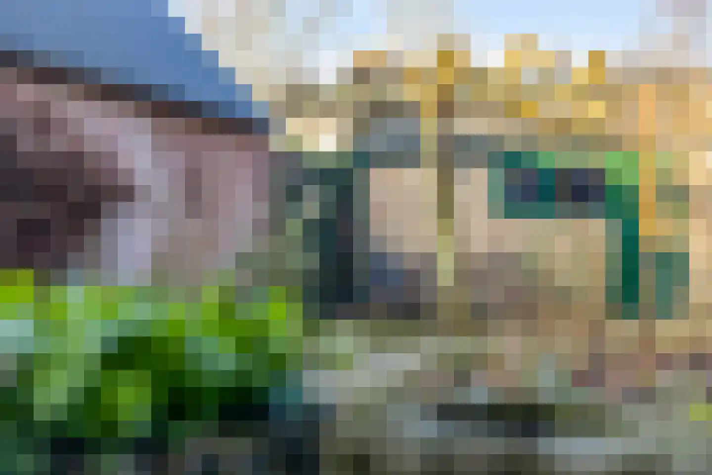 Beatrixstraat 41 Veenendaal thumbnail 5