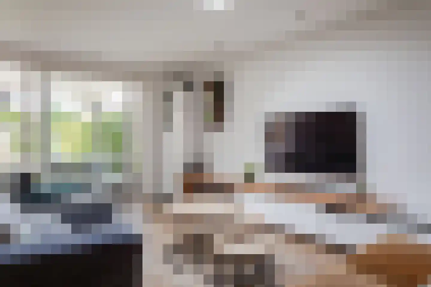 Beatrixstraat 42 Zwaag thumbnail 13
