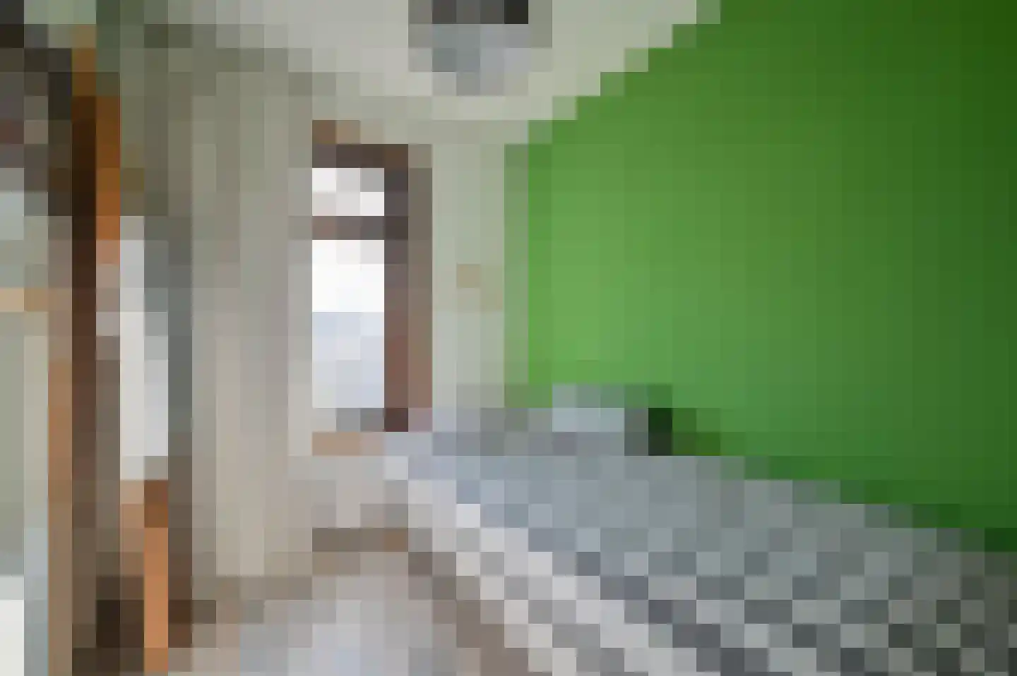 Beatrixstraat 44 Wilnis thumbnail 23