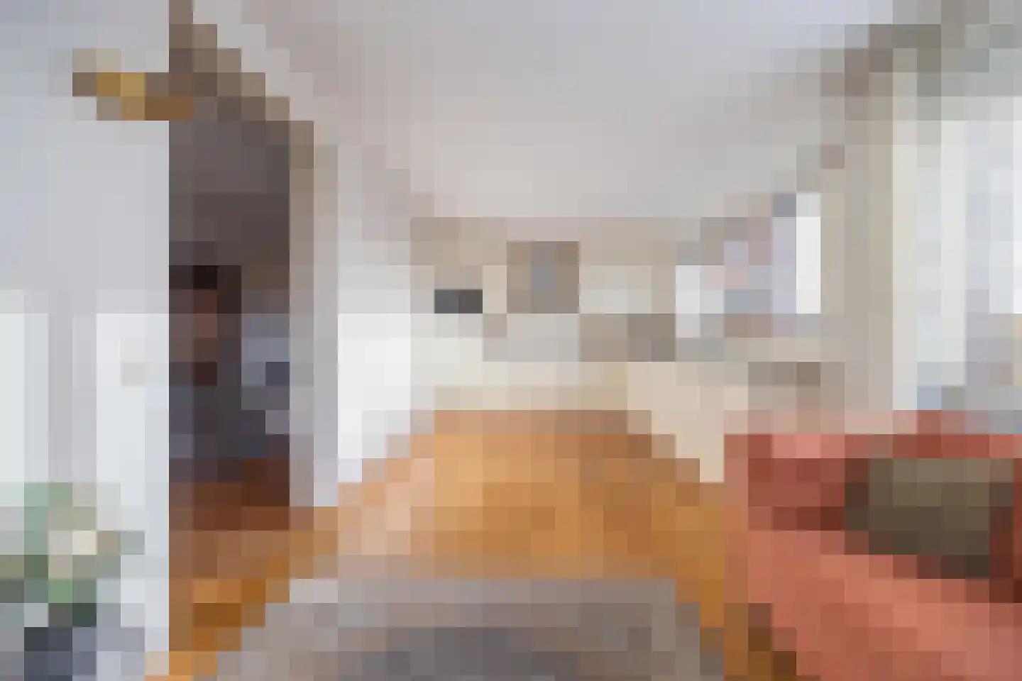 Beatrixstraat 45 Breda thumbnail 31