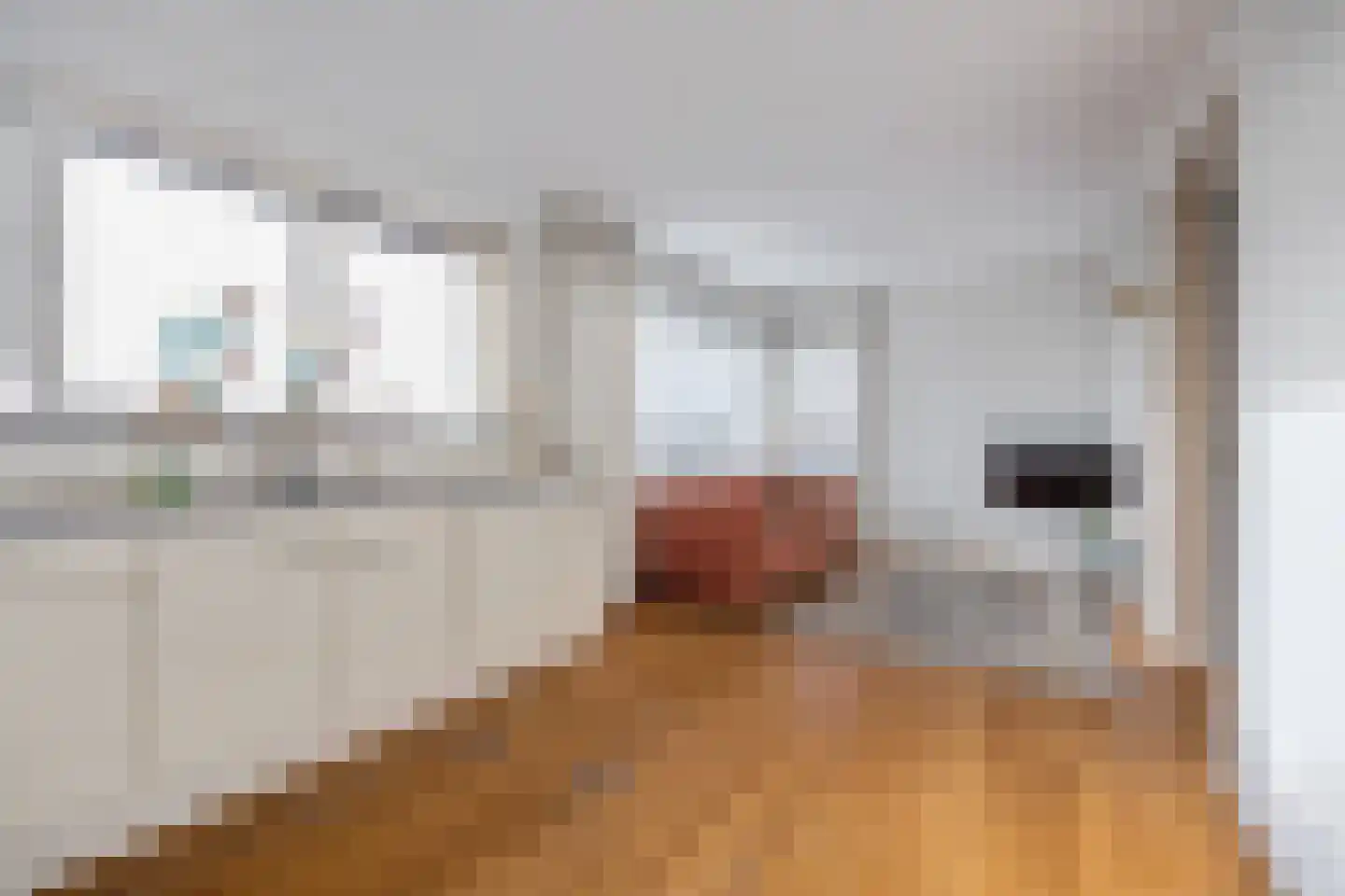 Beatrixstraat 45 Breda thumbnail 35