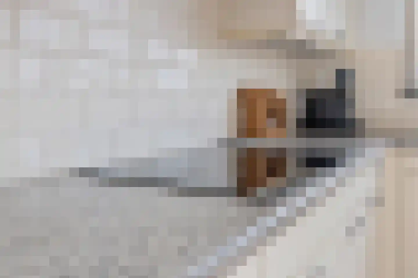 Beatrixstraat 45 Breda thumbnail 38
