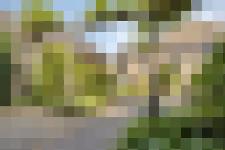 Beatrixstraat 45 Terneuzen thumbnail 31