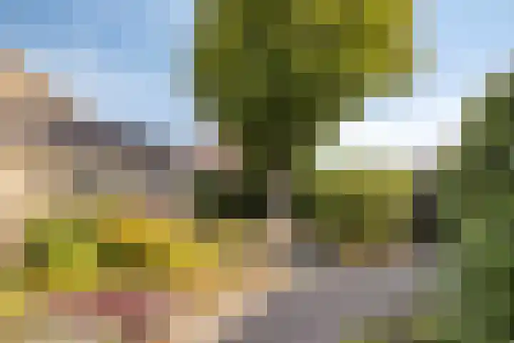 Beatrixstraat 45 Terneuzen thumbnail 34