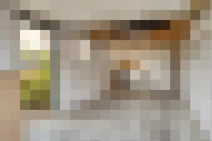 Beatrixstraat 45 Terneuzen thumbnail 36