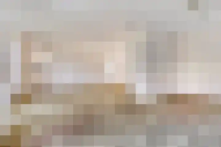 Beatrixstraat 45 Terneuzen thumbnail 8