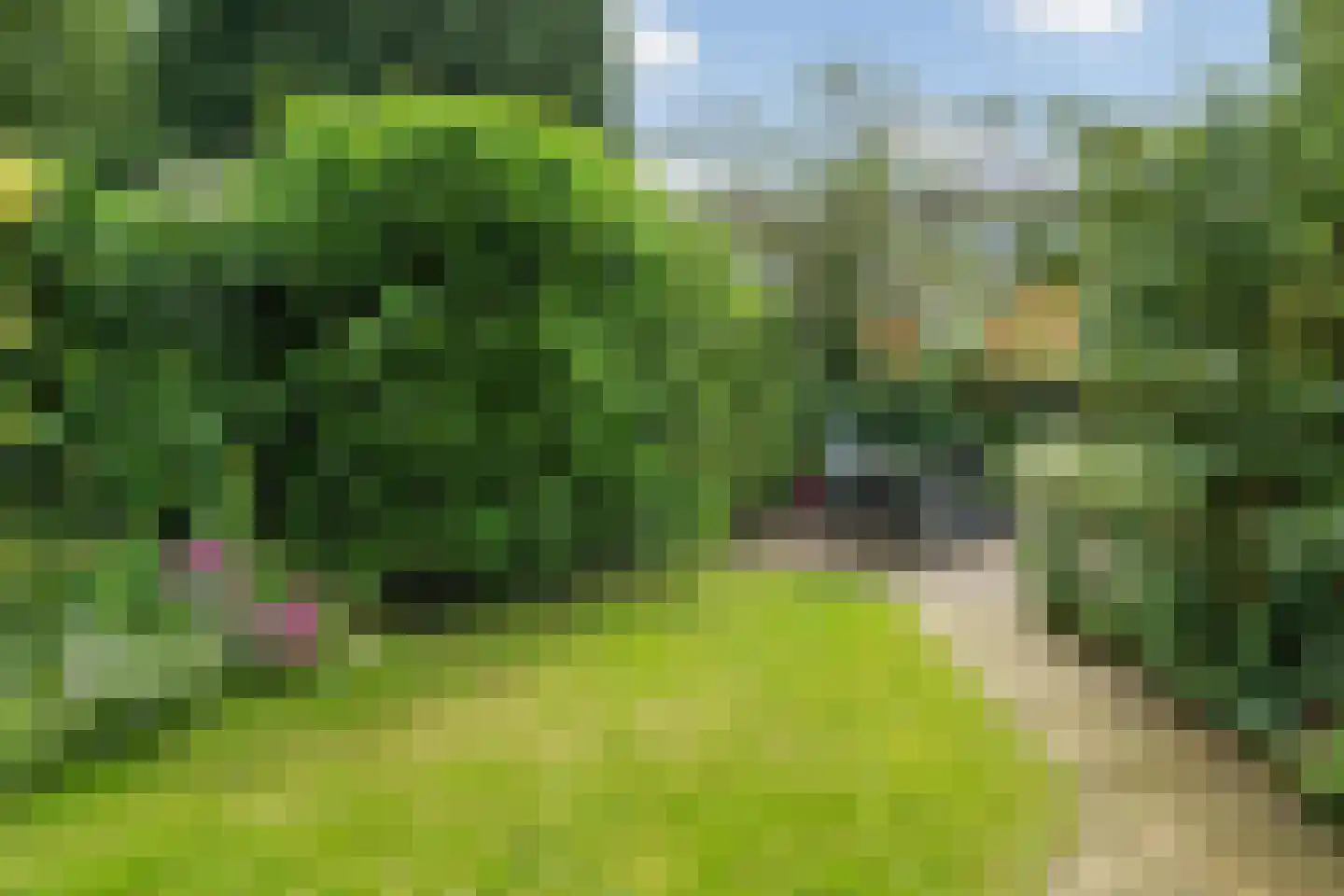 Beatrixstraat 46 Arnhem thumbnail 24