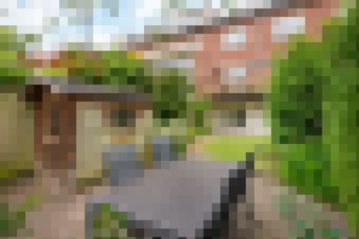Beatrixstraat 46 Arnhem thumbnail 26