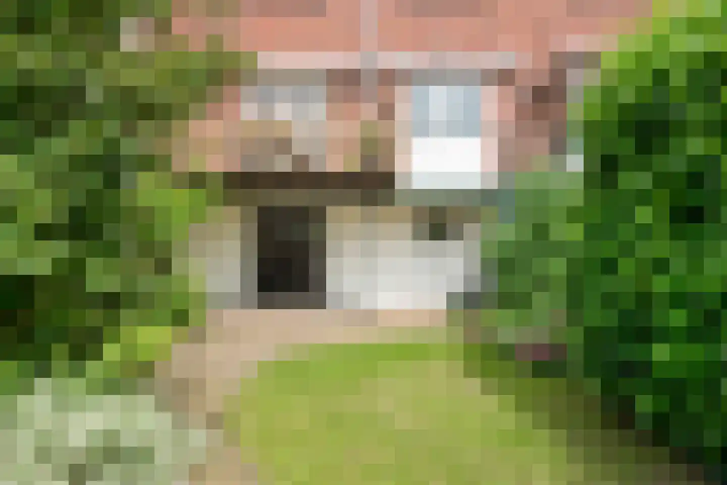 Beatrixstraat 46 Arnhem thumbnail 27