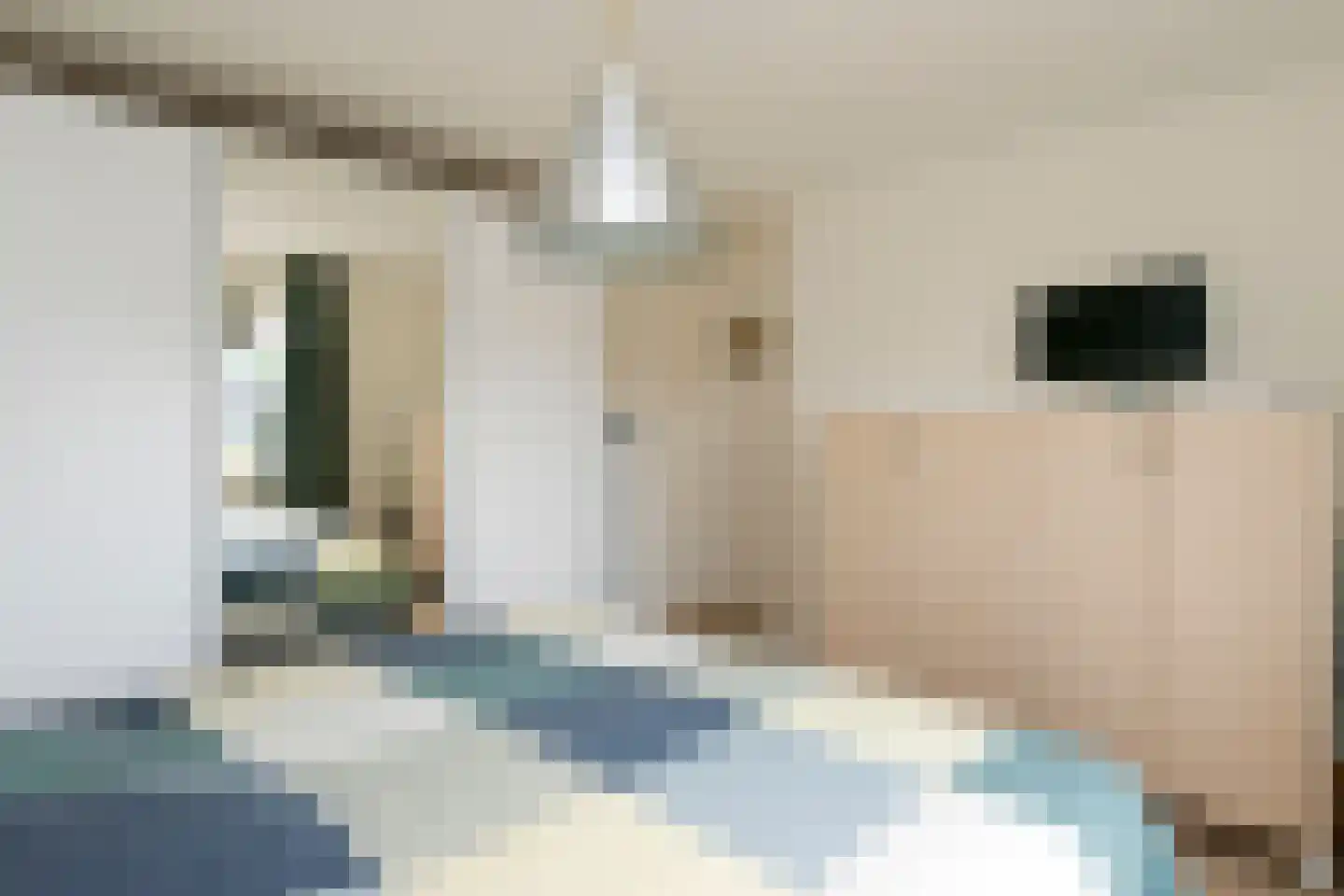 Beatrixstraat 46 Arnhem thumbnail 30