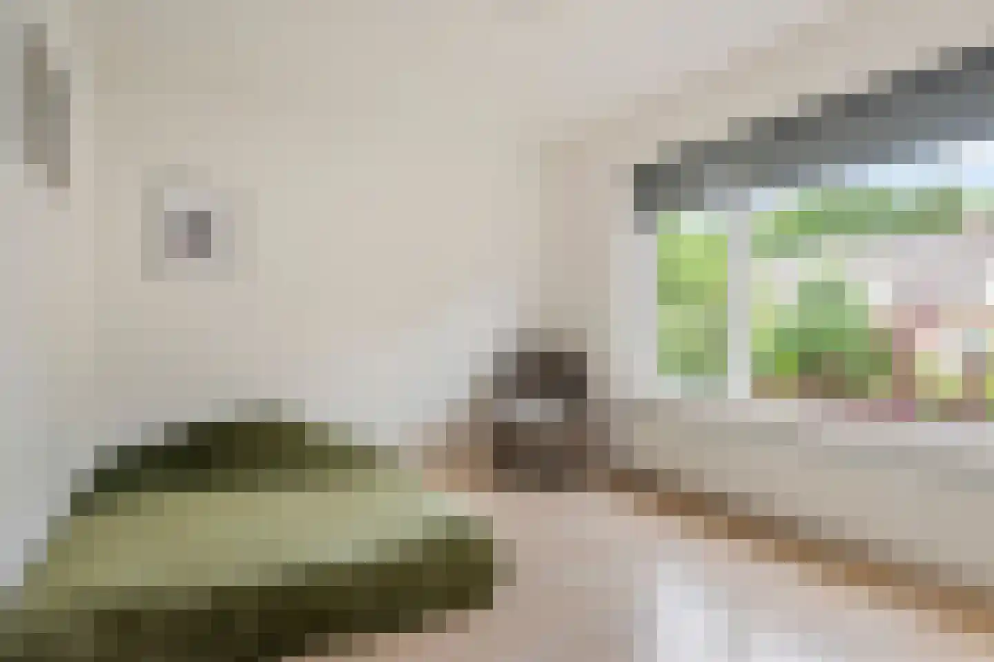 Beatrixstraat 46 Arnhem thumbnail 31