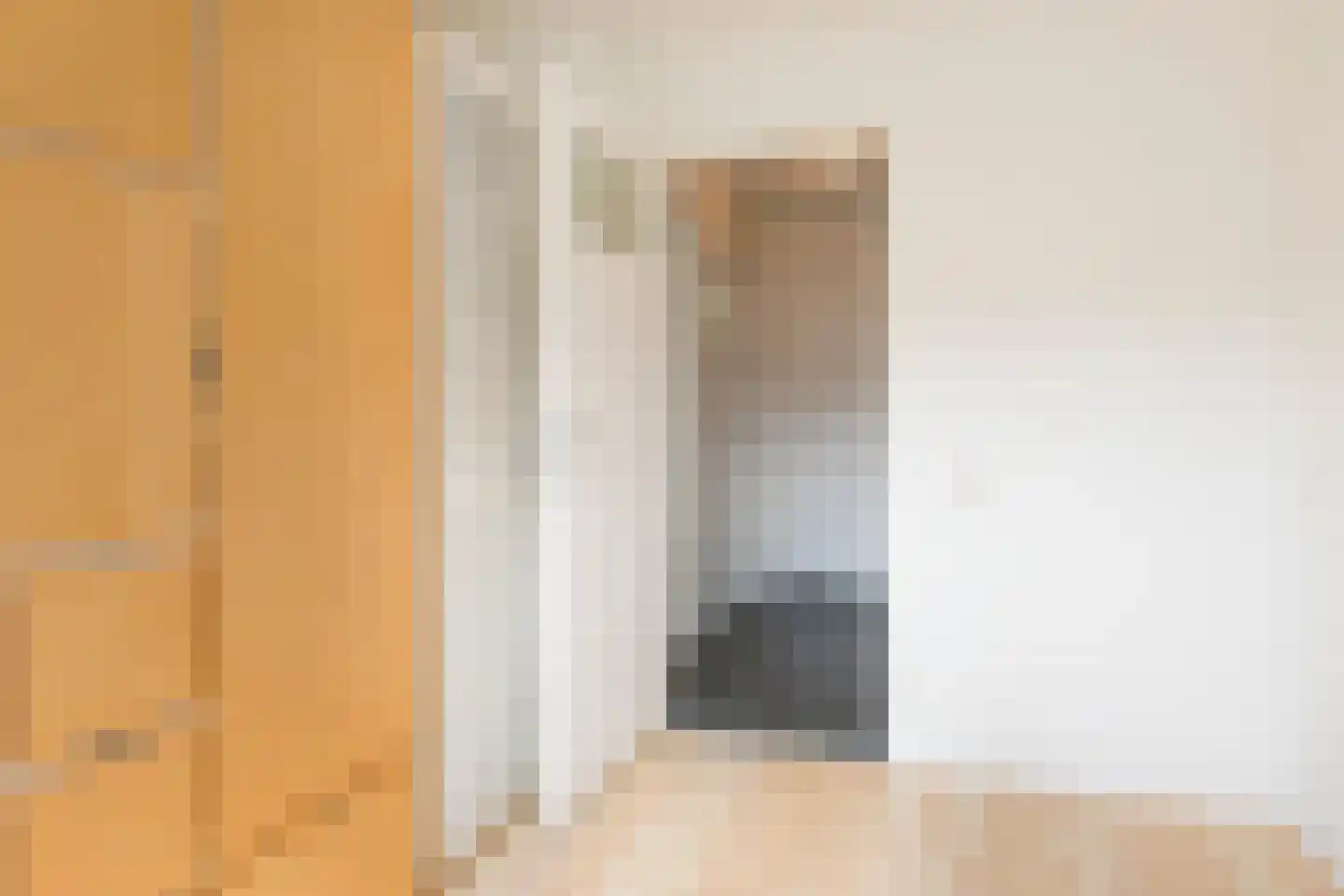 Beatrixstraat 46 Arnhem thumbnail 34
