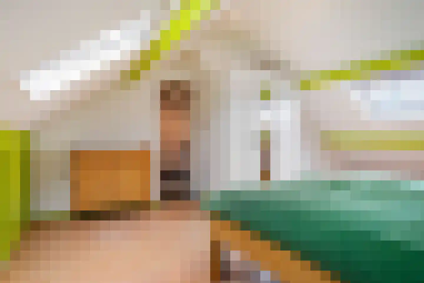 Beatrixstraat 46 Arnhem thumbnail 40