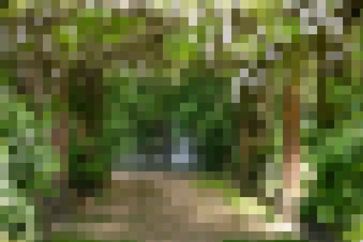 Beatrixstraat 46 Arnhem thumbnail 43