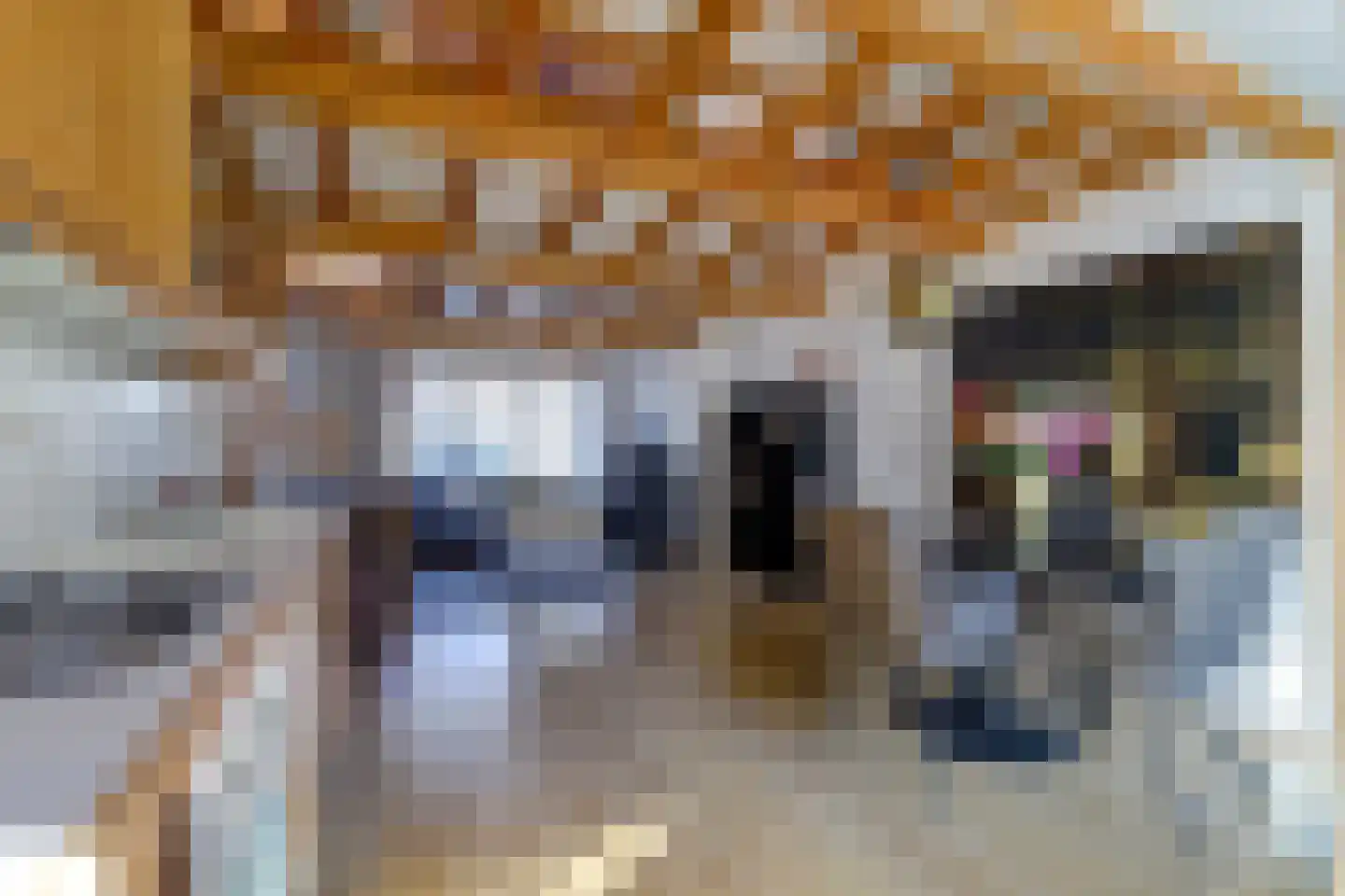 Beatrixstraat 47 Colijnsplaat thumbnail 10