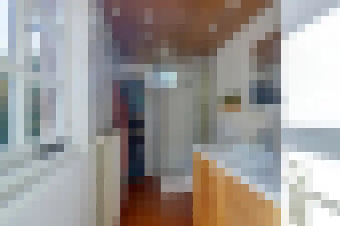 Beatrixstraat 47 Colijnsplaat thumbnail 20