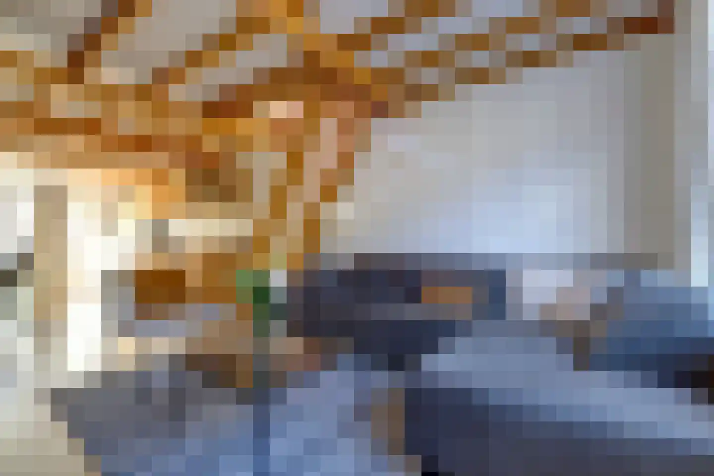 Beatrixstraat 47 Colijnsplaat thumbnail 7