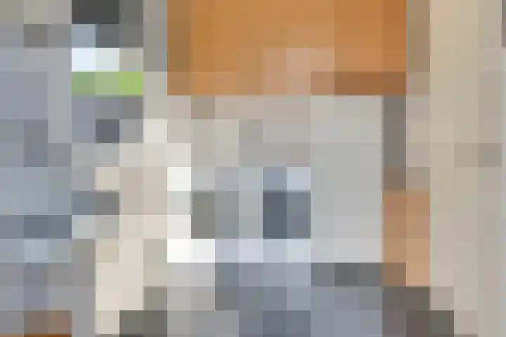 Beatrixstraat 47 Haghorst thumbnail 21