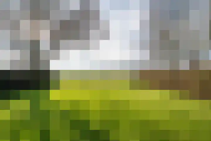 Beatrixstraat 47 Haghorst thumbnail 40
