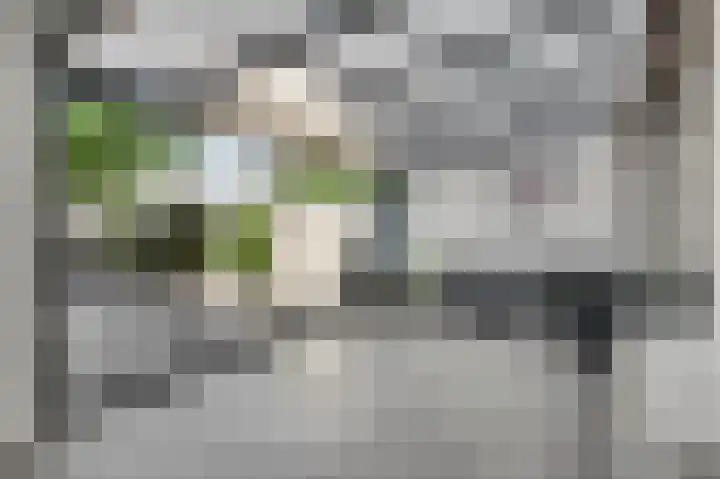 Beatrixstraat 49 Nederweert thumbnail 16