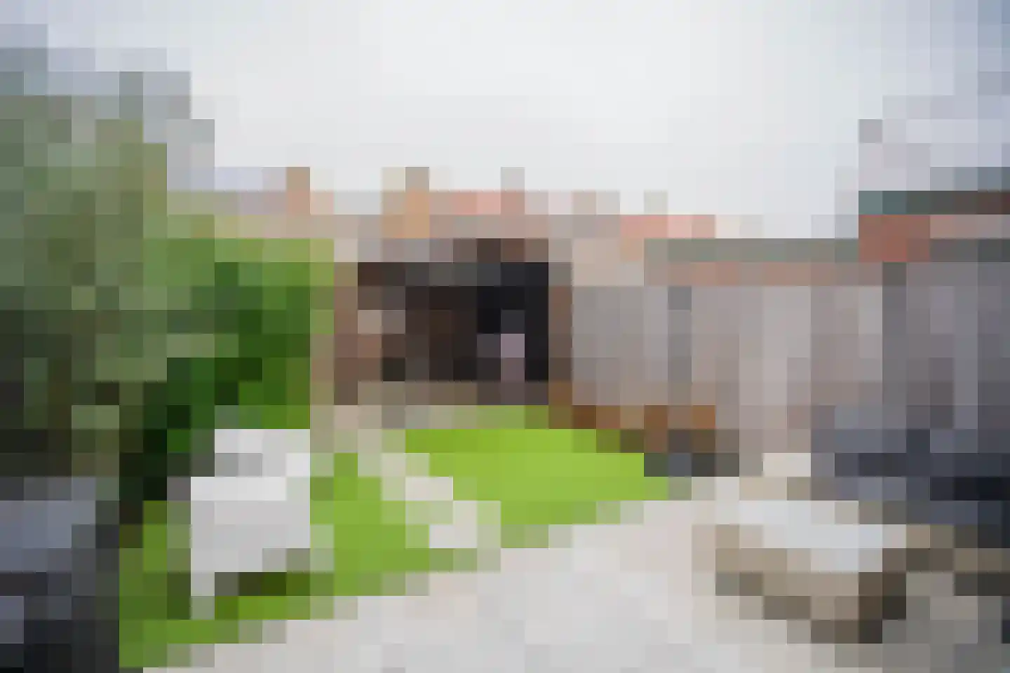 Beatrixstraat 5 Berkel en Rodenrijs thumbnail 17