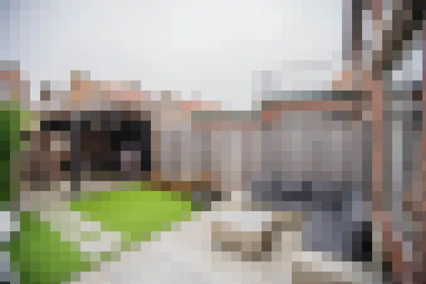 Beatrixstraat 5 Berkel en Rodenrijs thumbnail 20
