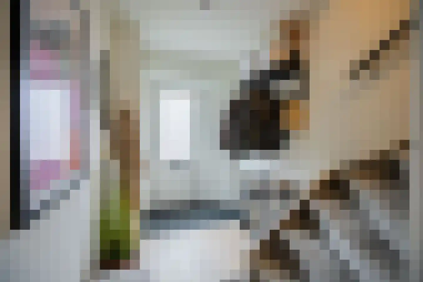 Beatrixstraat 5 Berkel en Rodenrijs thumbnail 21